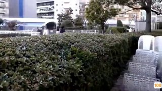 国产精品一区9999